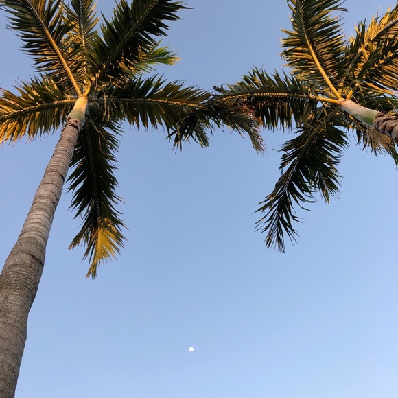 Meet your Posher, Ingrith - Picture 1 of 1